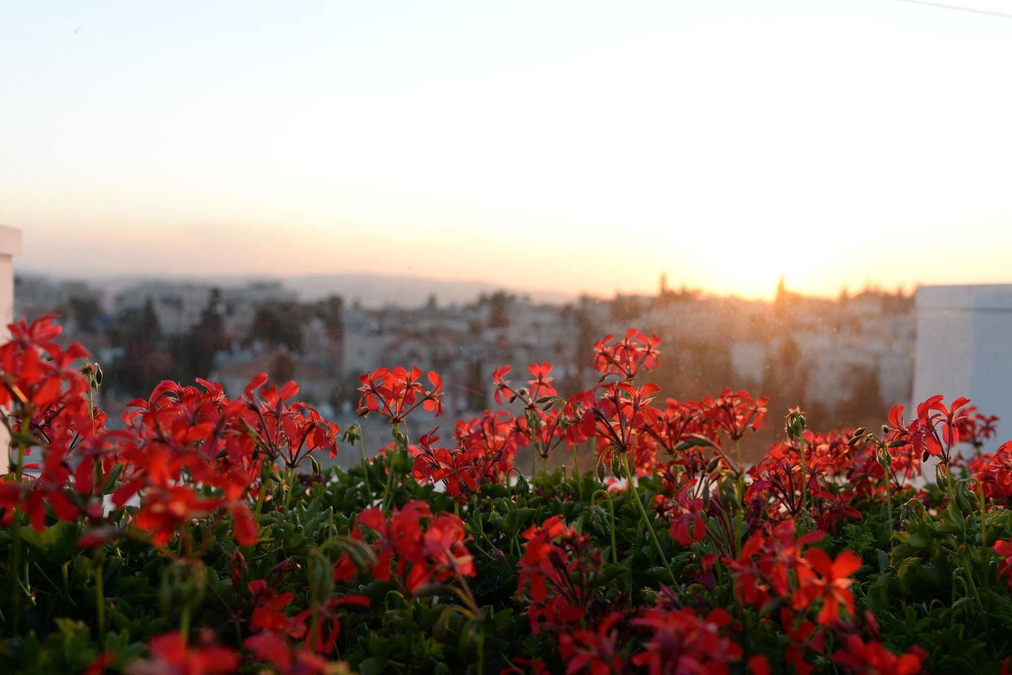 Prima Royale Hotel Jerusalem Ngoại thất bức ảnh